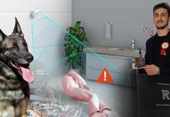 100 bin lirayla binlerce hayat kurtarabilir! Enkazda ne varsa görüyor: ‘Canlı olduğunu söylüyor’