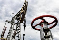 Türkiye'nin petrol ithalatı ekimde arttı