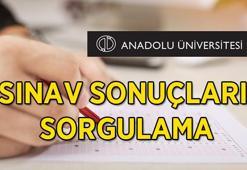 2025 AÖF SINAV SONUÇ SORGULAMA EKRANI: Açıköğretim Güz Dönemi Ara Sınav Vize sonuçları belli oldu!