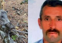 Feci son! Domuz saldırısı sonucu hayatını kaybetti