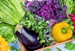 Buzdolabında yeşillik saklamanın püf noktası! Bir bardakla farkı göreceksiniz