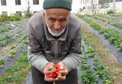 Yaptığı yürekleri ısıtan hareketle Türkiye onu konuşmuştu! 'İbrahim Dede'den acı haber
