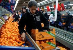 Türkiye’nin mandalina ihracatı rekor kırdı