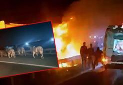 Anguslar alev alan TIR’dan kaçtılar! Hatay otoyolunda yangın dehşeti kamerada