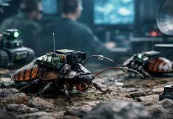 Alman girişim hamamböceklerini robot casuslara dönüştürüyor