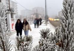 Sibirya soğukları Türkiye’de! Termometreler eksi 19 dereceyi gösterdi: 'Allah bize yardım etsin'
