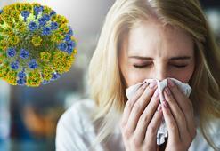 K varyantı, ülkemize giriş yaptı! ‘Bu yıl daha ağır seyredebilir’