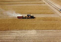 Çiftçilere 2 milyar lira tarımsal destekleme ödemesi bugün yapılacak