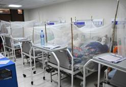 Virüsler tüm ülkeyi sardı! Kalıcı yürüme güçlüğüne neden oluyor: Çaresi bulunamıyor