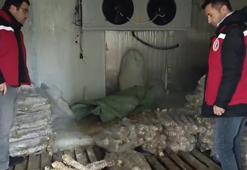 Manisa'da şoke eden manzara! 4 milyon liralık bozulmuş kokoreç ele geçirildi