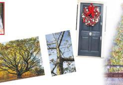 Karanlık kış günlerinden gelen hayat ağacı