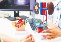 Böbrek taşında tanıdan tedaviye yol haritası