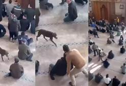 Cuma namazında korku dolu anlar! Pitbull cemaatin ortasına daldı
