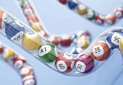 Çılgın Sayısal Loto çekiliş sonuçları açıklandı! 20 Aralık bugünkü Sayısal Loto sonuçları sorgulama ekranı