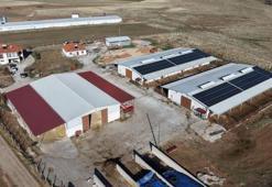 Yüzde 60 hibe desteğiyle çiftlik kurdu: Devlet olmasaydı hayal bile edemezdik