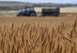 Tarımsal girdi fiyat endeksi arttı