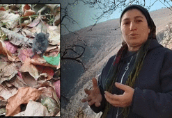 Artvin'de sevgi dili! Bahçesine giren tarla faresine hurma yedirdi