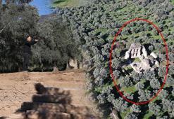 1800 yıl sonra büyük heyecan! Kayıp giriş bulundu: ‘Tam merkezinde, bu sene açığa çıkardık’