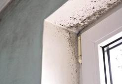 Ev neden küf kokar? En yaygın 4 sebep ortaya çıktı