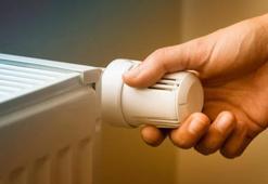 Petekleri daha çabuk ısıtan ayar! Verimi artırıyor, faturayı azaltıyor