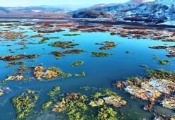 Burası Türkiye! Kar yağdı, inanılmaz manzara ortaya çıktı