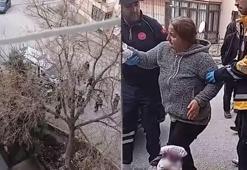 Market yolunda dehşet! Evden kaçan 5 köpeğin saldırısına uğradı