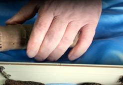 Ruslar'dan toprağa gömerek sakladılar! 700 yıllık emanet sandıktan çıktı: Torundan toruna bırakıldı