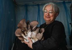 Kurslarla başlayan mantar yetiştiriciliği üretim modeline dönüştü