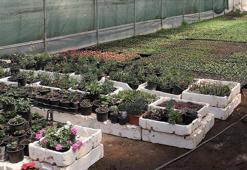 Fide sektörüne yönelik rekabet soruşturması başlatıldı