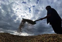 Çiftçilere 1,7 milyar lira tarımsal destekleme ödemesi bugün yapılacak