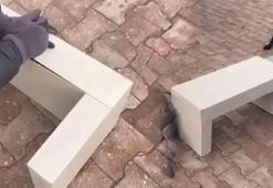 Otomobilin bagajındaki sehpanın içerisine çıkanlar şoke etti