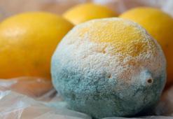 Limonun haftalarca küflenmesini engelliyor! Taptaze limon için mutlaka yapın