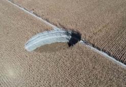 Konya Havzası alarm veriyor! Sayıları 657’ye dayandı, tehlike yayılıyor