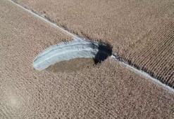 Konya Havzası alarm veriyor! Sayıları 657’ye dayandı, tehlike yayılıyor