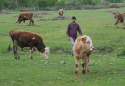 Tarımda zorlu koşullar yeni yılı şekillendiriyor, beklentiyi artırıyor! Risk ve fırsat yan yana