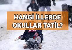 OKULLAR TATİL Mİ? 30 Aralık Salı Hangi illerde okullar tatil edildi? kar tatili olan iller