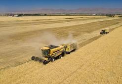 Tarım ve Kırsal Kalkınmayı Destekleme Kurumu 42 uzman alacak