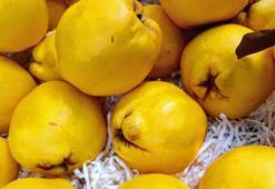 Kestanesi bol, içi sapsarı... Ayvanın iyi olduğu bu detaydan belli oluyor