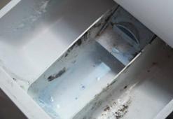 Deterjan haznesindeki küf tarih oluyor! Makineyi ilk günkü gibi yapan yöntem