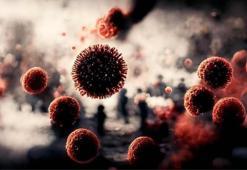 6 kıtada yayıldı, ilaca karşı dirençli! Ölüm oranı yüzde 50'den fazla