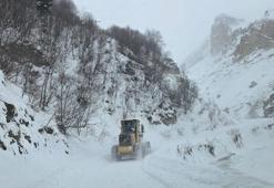 Artvin’de çığ felaketi! Vali açıkladı: 3 çobanın çığ altında