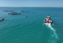 Cumhuriyet tarihi rekoru! Bakan Yumaklı: Balıkçılıkta 2 milyar dolar sınırına ulaştık