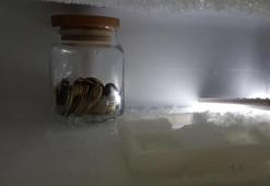 Buzdolabına bozuk para koyan Japonlar bakın neyi ölçüyormuş!