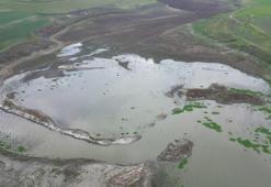Türkiye’nin bir yanında kar, Tekirdağ’da kuraklık! Gölette su yüzde 1’in altına düştü