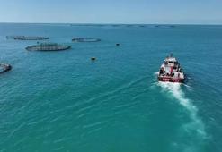 Cumhuriyet tarihi rekoru! Bakan Yumaklı: Balıkçılıkta 2 milyar dolar sınırına ulaştık