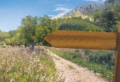 Prof. Dr. Mark Deuze: Dijital detoks bir ayrıcalık