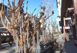 Kars buz tuttu! Termometreler eksi 28’i gösterdi