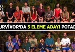 SURVİVOR'DA 5 ELEME ADAYI POTADA! Survivor 2026 Gönüllüler ve Ünlüler takımından eleme adayları kimler seçildi? Survivor dokunulmazlık oyununu kim kazandı?