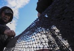 Yarısı tamamlanan av sezonunda hamsi ve sardalya yüz güldürdü