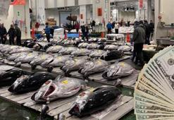 Tezgahta rekor geldi! Dev orkinos 3,2 milyon dolara satıldı